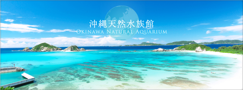 沖縄天然水族館とは