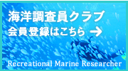 海洋調査員クラブ