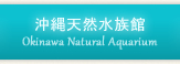 沖縄天然水族館