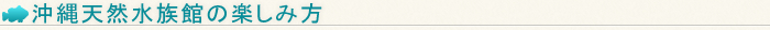 沖縄天然水族館の楽しみ方