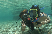 イノープログラム写真