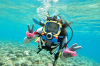 アクティビティ写真