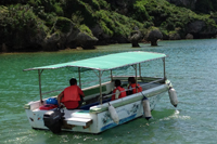 アクティビティ写真