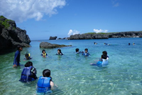 アクティビティ写真