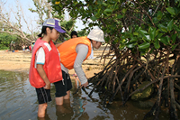 アクティビティ写真