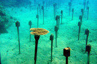 イノープログラム写真