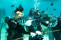 イノープログラム写真