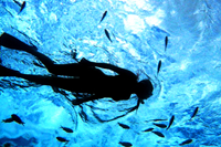 アクティビティ写真