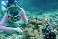 イノープログラム写真