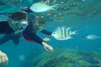 アクティビティ写真