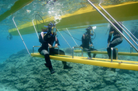 イノープログラム写真