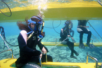 アクティビティ写真