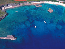 image001