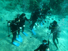 足元では魚達が群れている